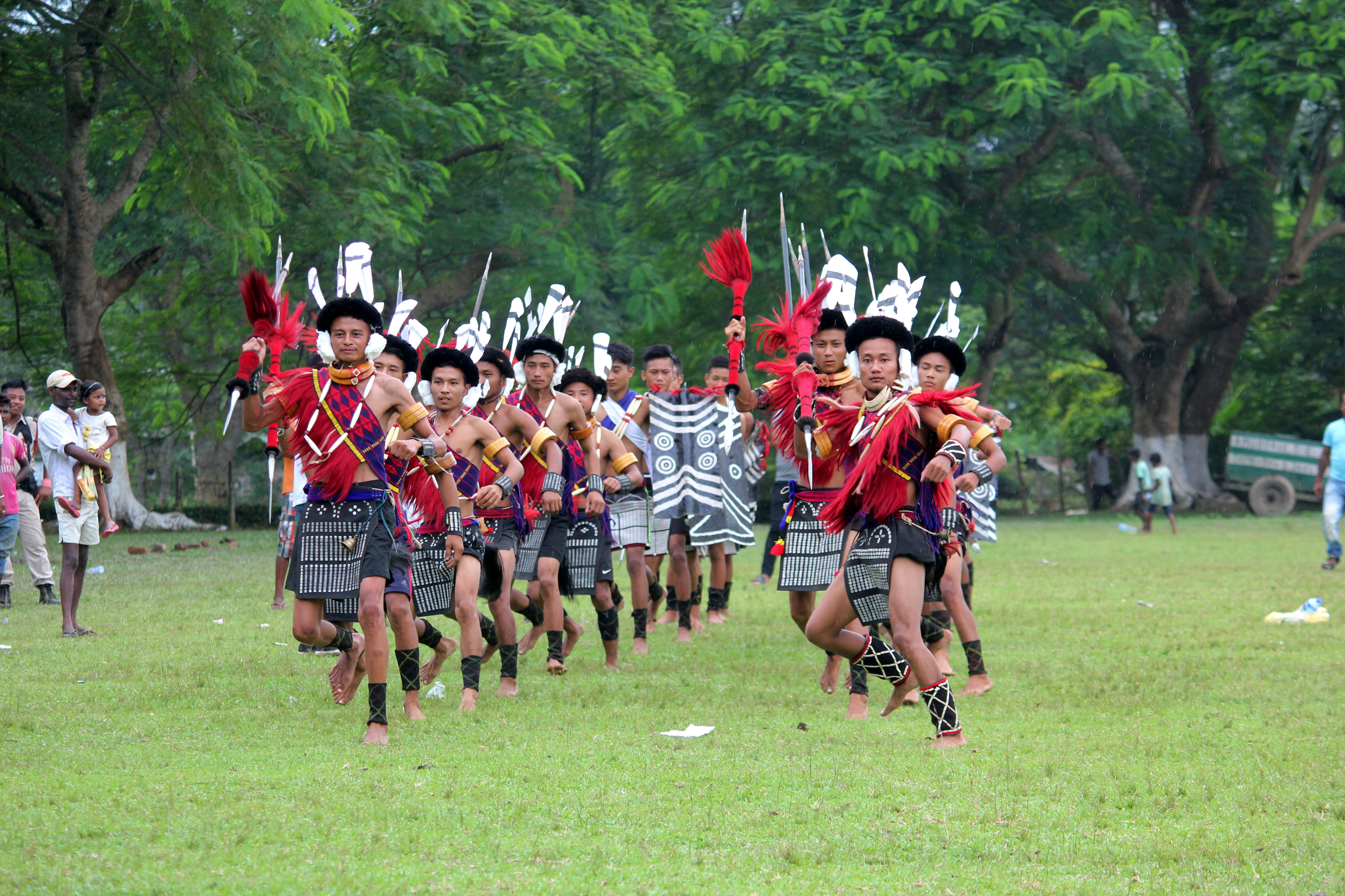 assam-nagaland-2