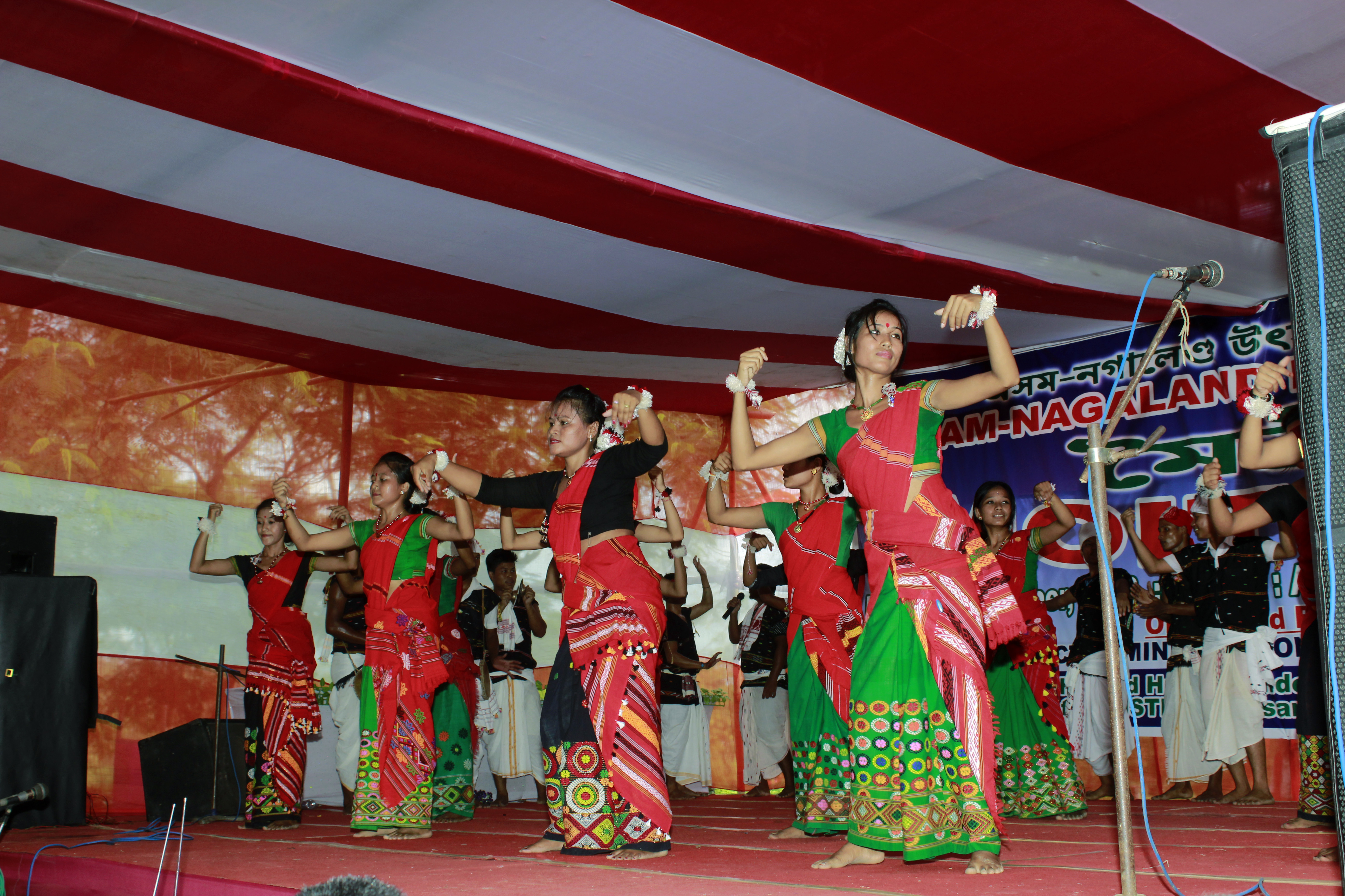 assam-nagaland