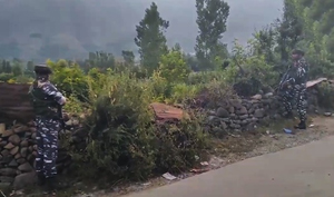 One terrorist killed in encounter with security forces in J&K’s Bandipora