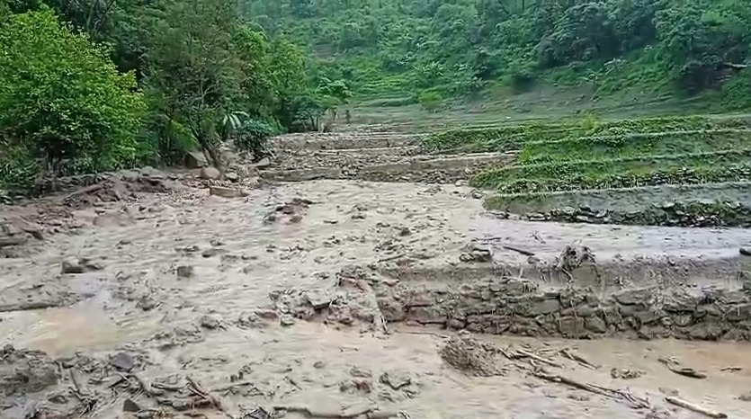 Nagaland