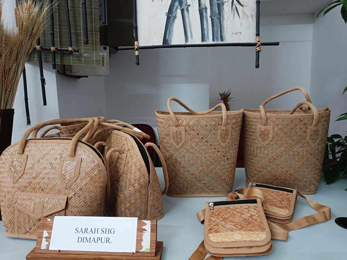 Nagaland Bamboo Development Agency earmarks ‘bamboo economic zones’ in the state