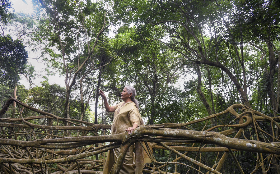 Sitharaman backs Meghalaya's efforts to get UNESCO recognition for living root bridges