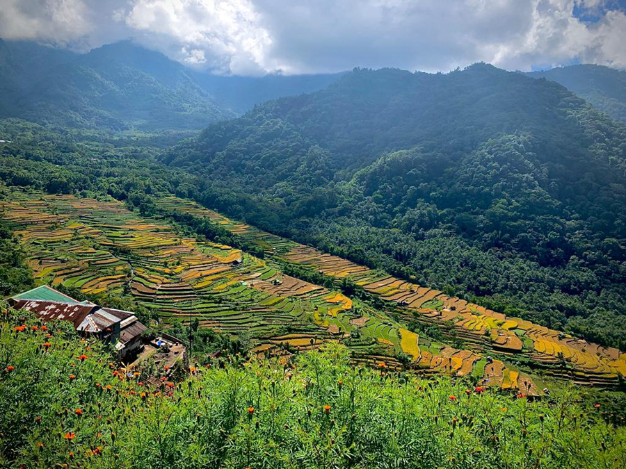 khonoma village