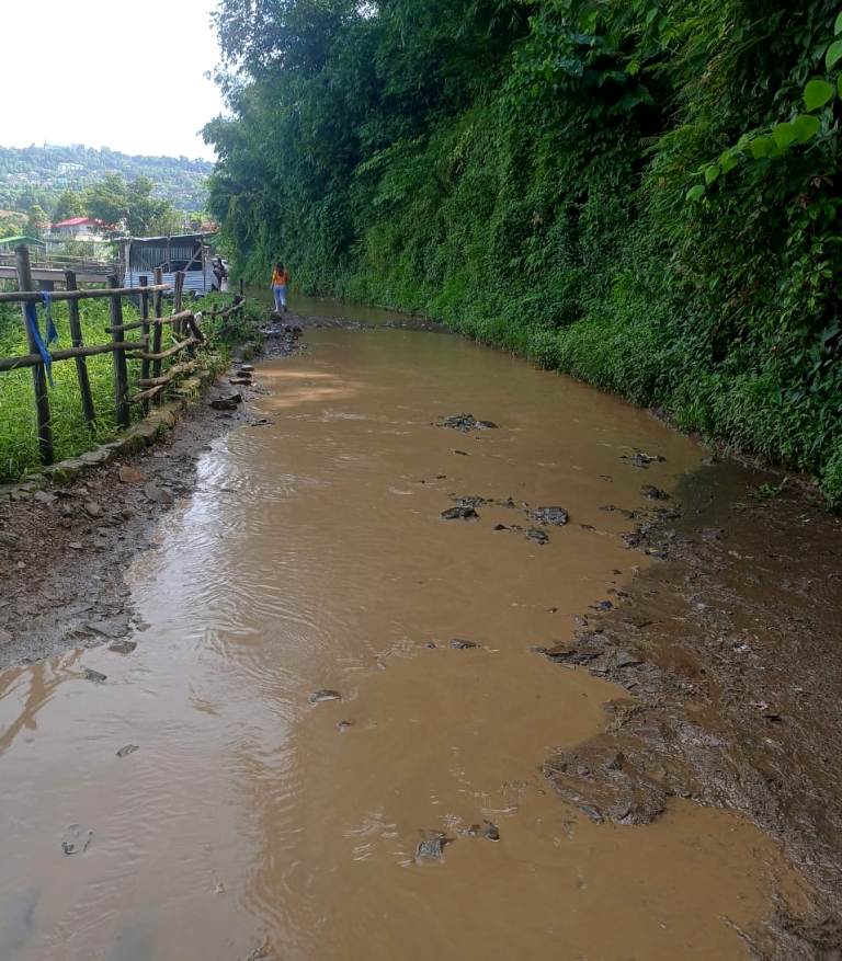 Wokha's Airfield colony road deterioration sparks frustration