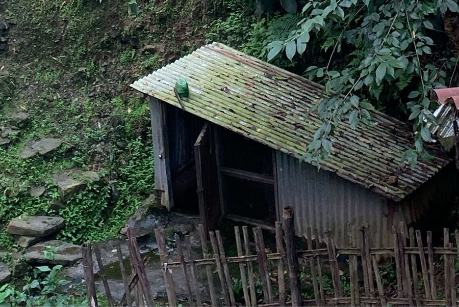 Water shortage persists in Kohima amid growing demand