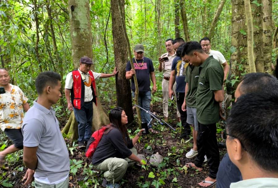 Asian Giant Tortoises reintroduced in Nagaland’s Peren district