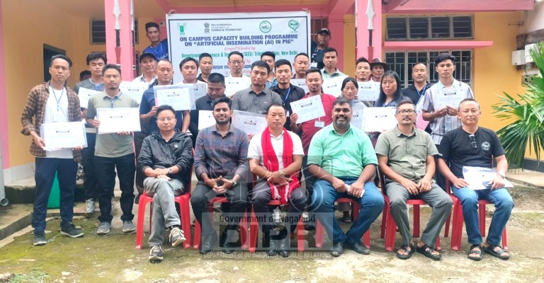 KVK Wokha empowers farmers with training on artificial insemination of pigs