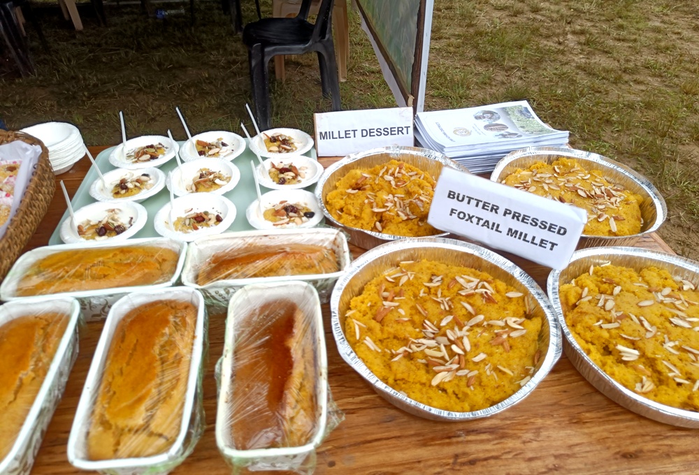 Kezoma celebrates inaugural Millet Festival, bridging tradition and modern agriculture