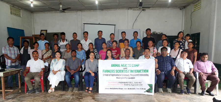 Nagaland University boosts livestock health in Medziphema village