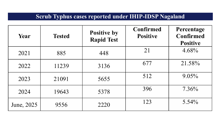 Scrub typhus cases in Nagaland show seasonal rise, with improving response and lower fatalities