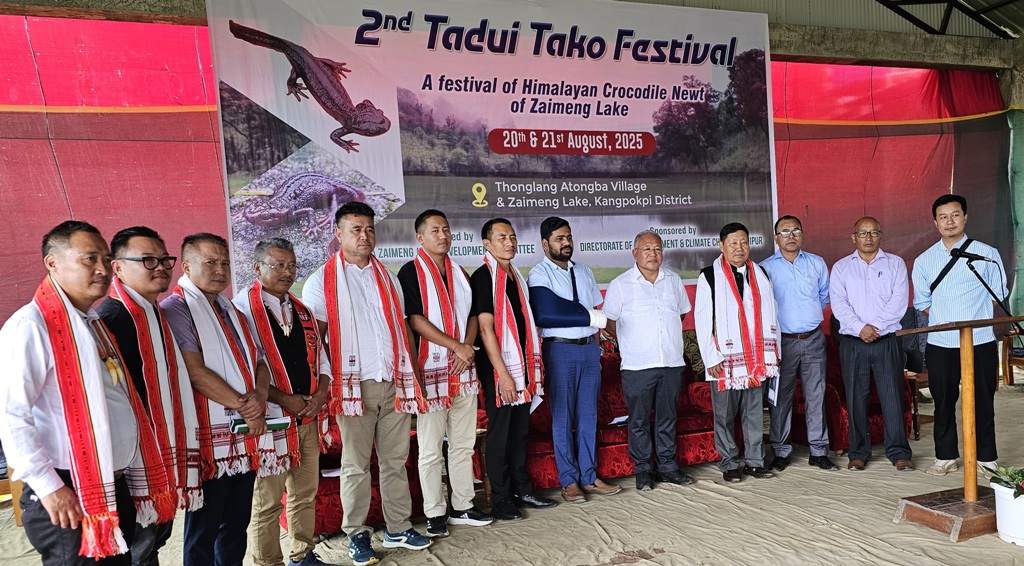 FESTIVAL