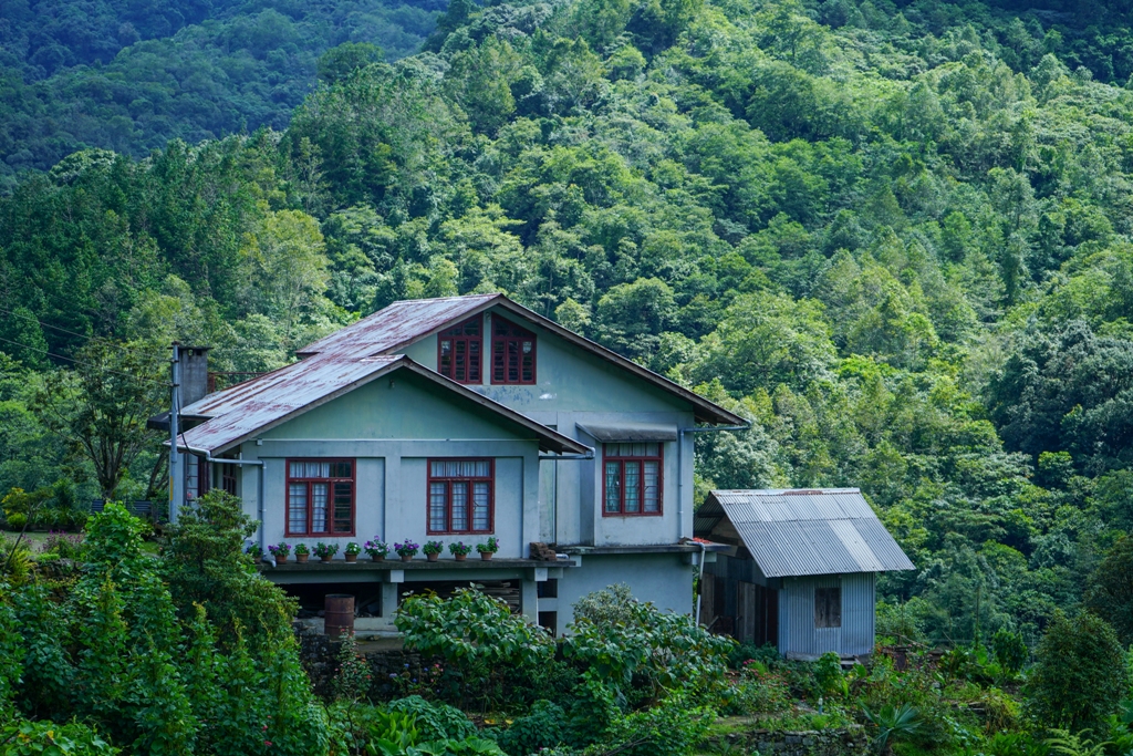 house