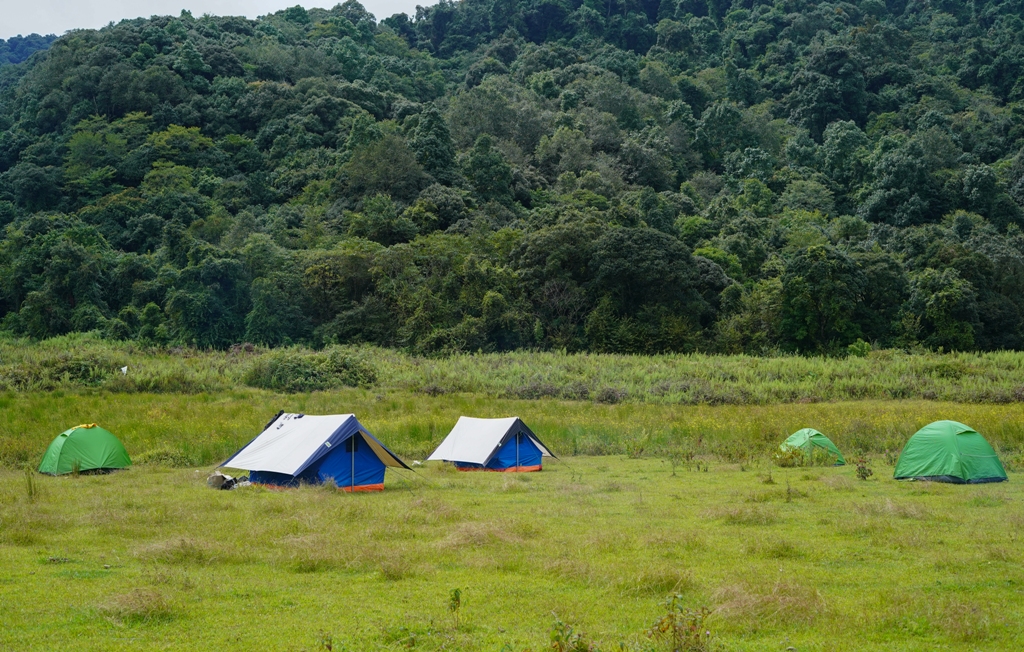camping