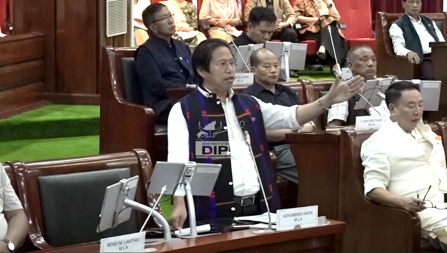 Nagaland seeks Centre’s nod to relocate elephants, enhance compensation
