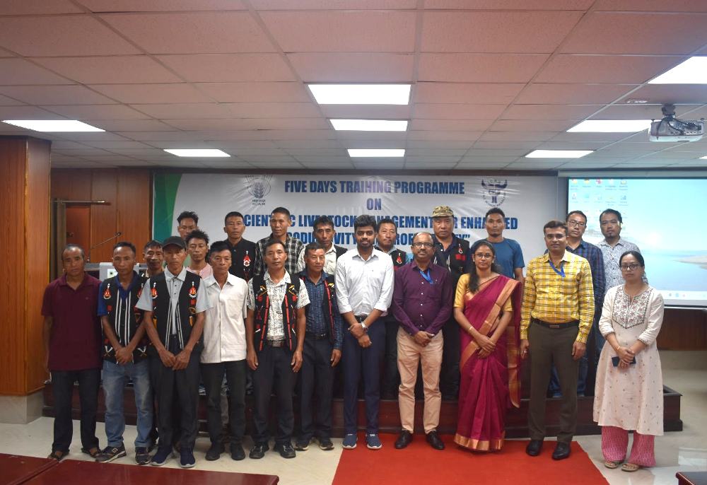 ICAR-NRCM conducts livestock training for Meluri farmers