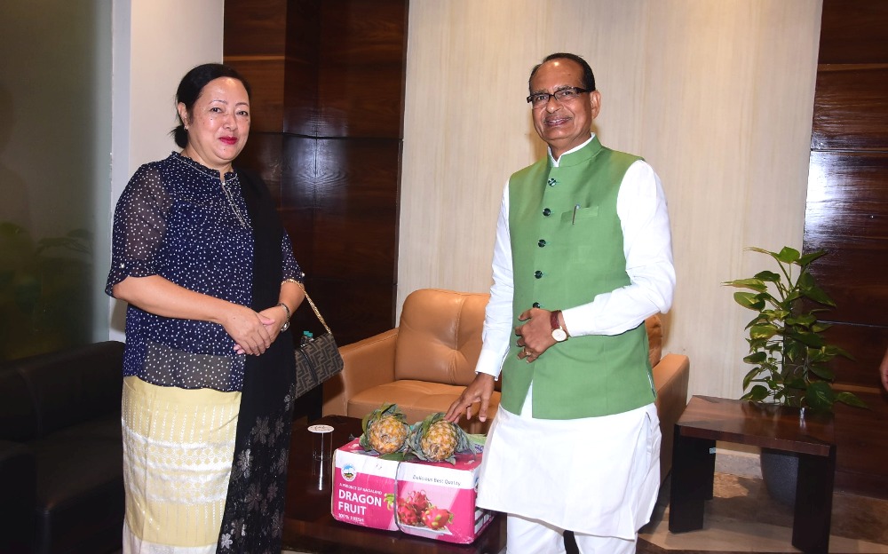 Salhoutuonuo Kruse seeks Centre of Excellence for Horticulture in Nagaland