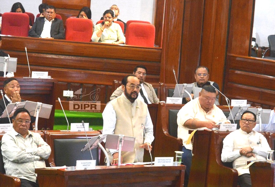 Patton says Nagaland prioritising border issue; Cabinet proposes Special Border Response Force