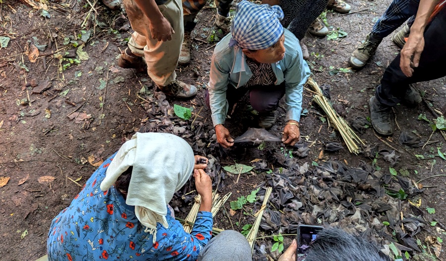 Bat Harvest Festival unites Bomrr clan across villages