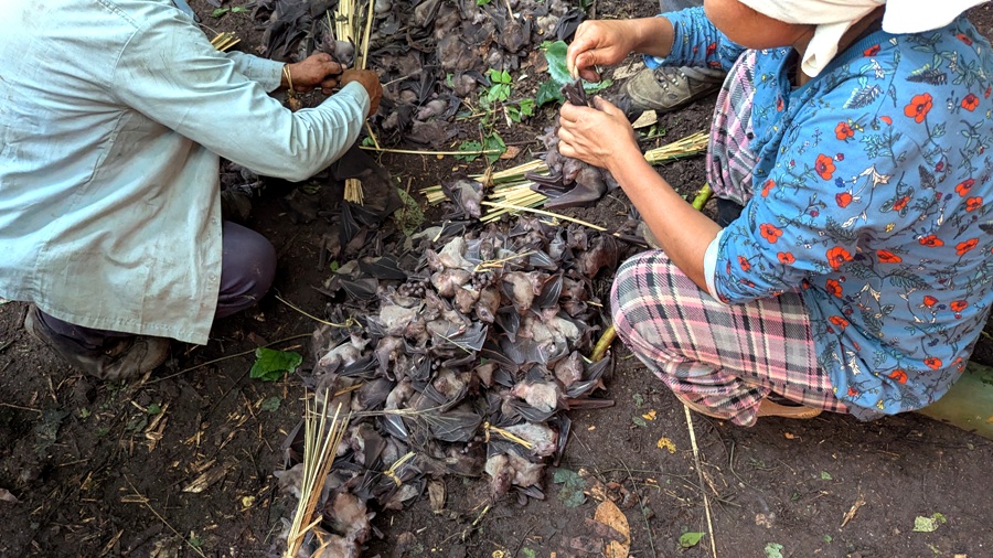 Bat Harvest Festival unites Bomrr clan across villages