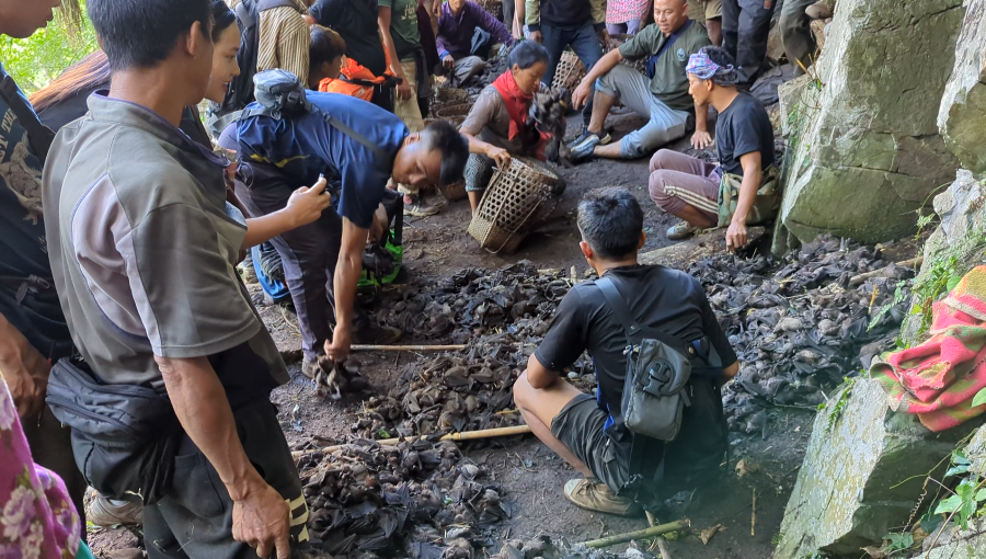 Bat Harvest Festival unites Bomrr clan across villages
