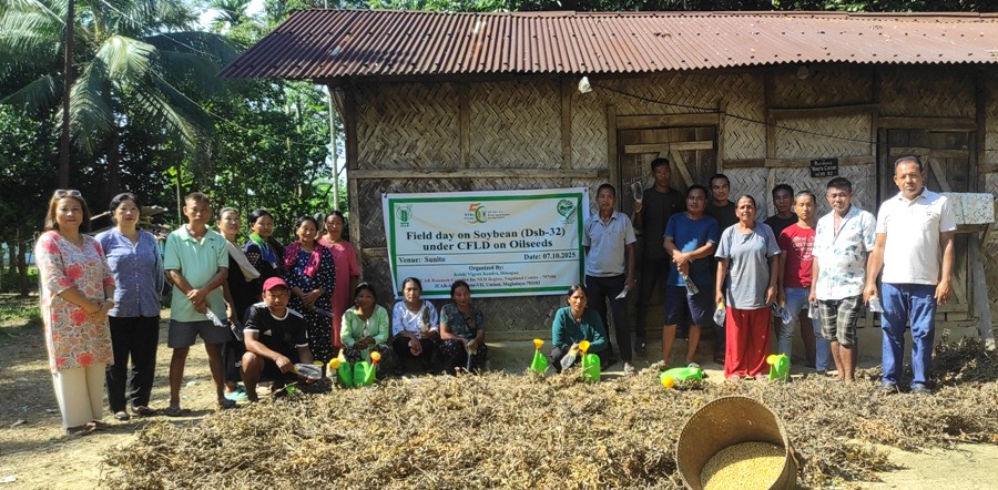KVK Dimapur conducts field day on soybean variety Dsb-32