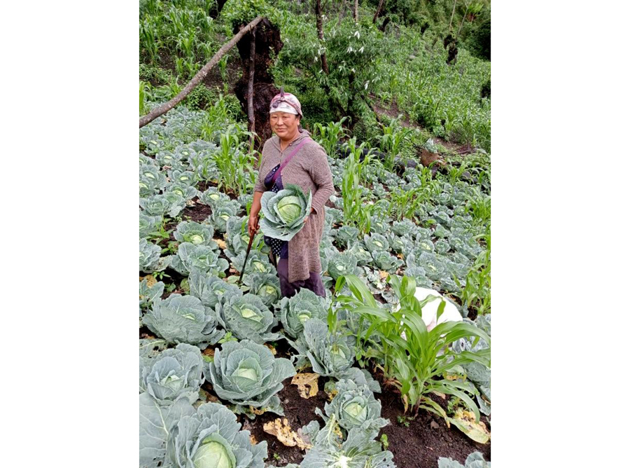 Kukhrusulu's story: Turning challenges into harvests