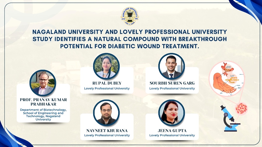 Nagaland University researchers find breakthrough for diabetic wounds