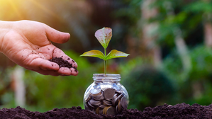 INDIAN MUTUAL FUND